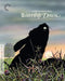 Criterion Collection: Watership Down