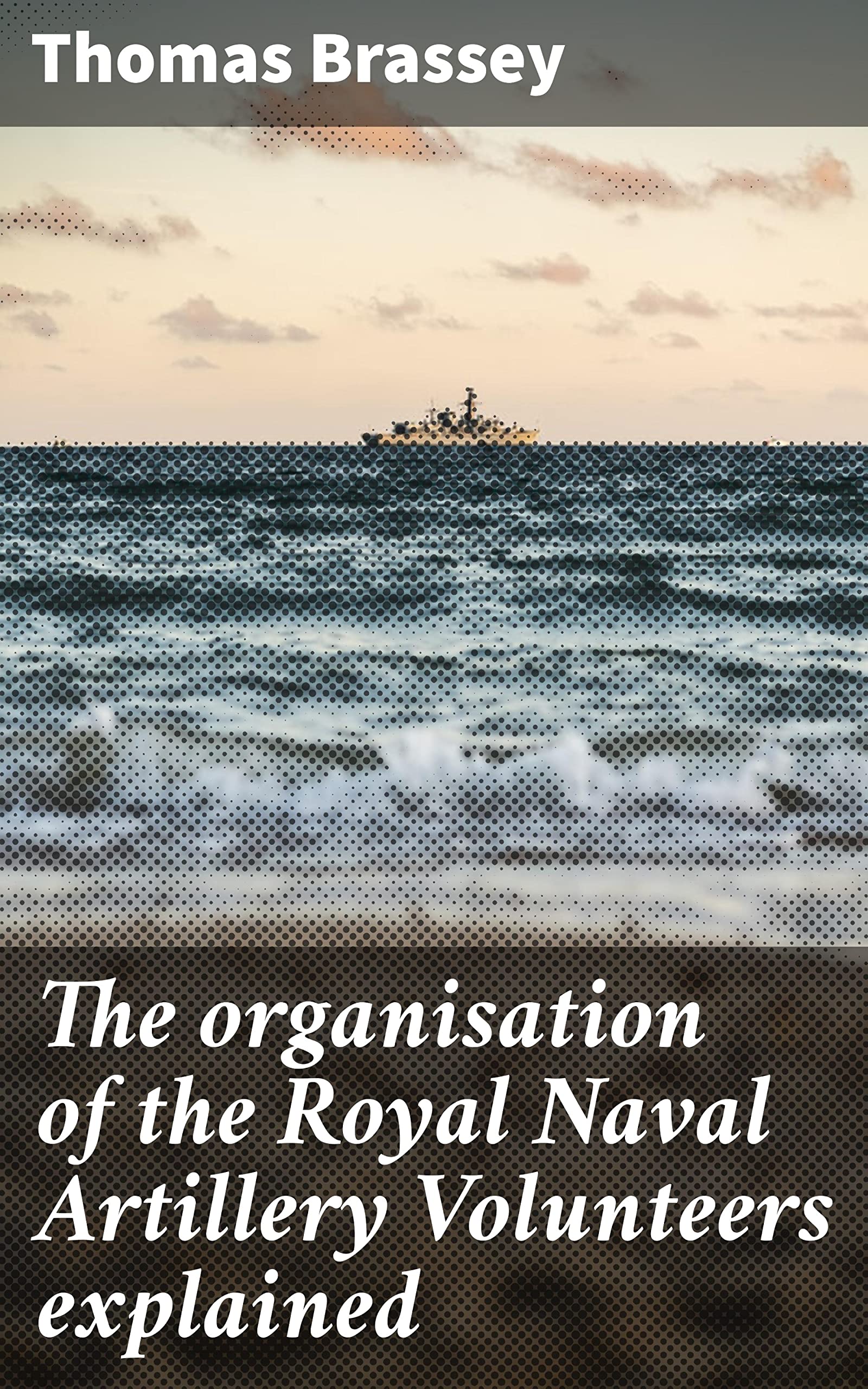 The Organisation of the Royal Naval Artillery Volunteers Explained