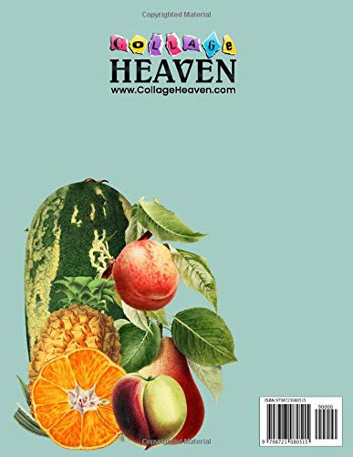 The Cut Out And Collage Book Vintage Fruits Illustrations: Over 170 High Quality Fruit Illustrations For Collage And Mixed Media Artists (Cut and Collage Books