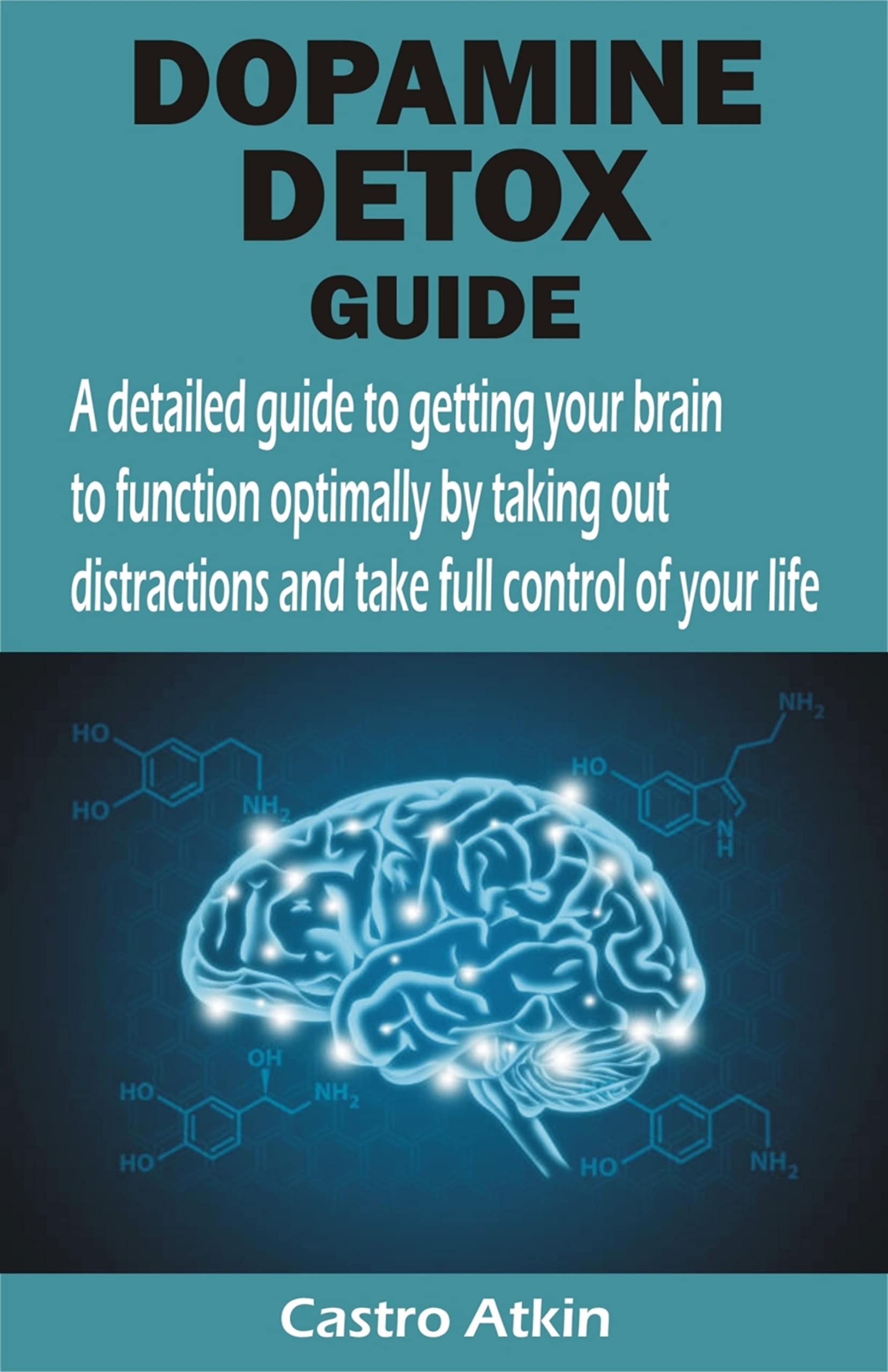 Dopamine Detox Guide