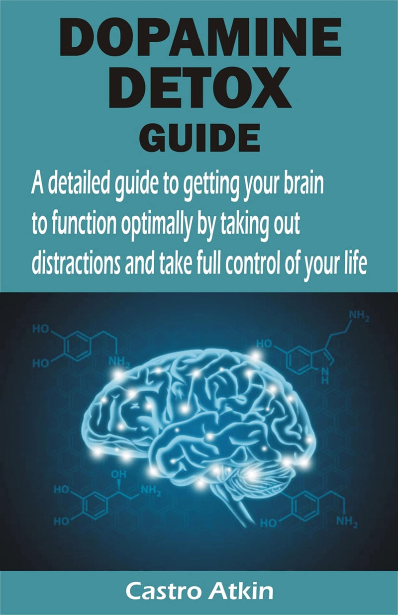 Dopamine Detox Guide