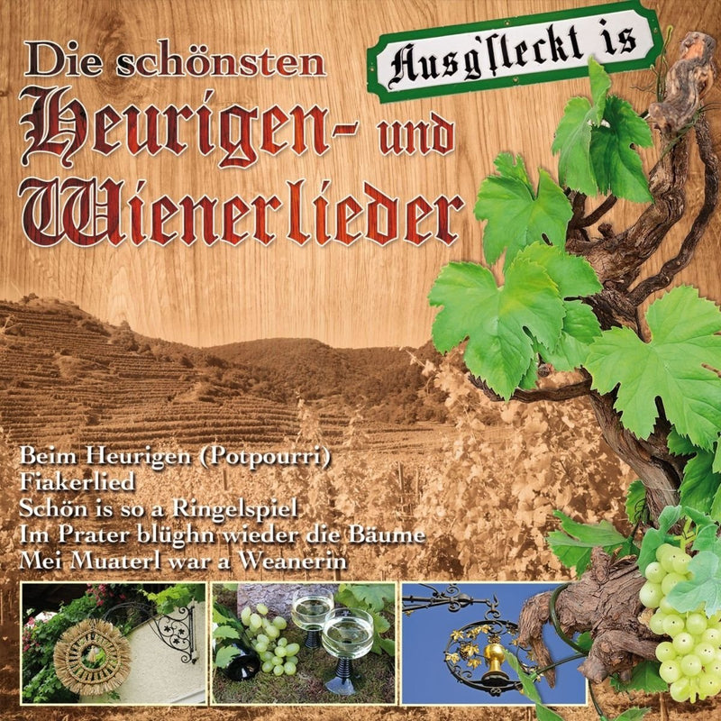 Die Schönsten Heurigen-und Wi