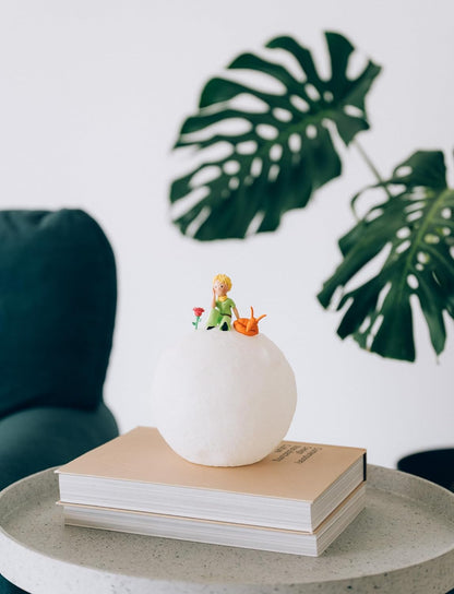 Grupo Erik: Lampada Il Piccolo Principe | Lampada Notturna Led Il Piccolo Principe, con cavo USB o batterie, Luce notturna ricaricabile, Piccolo Principe Gadget
