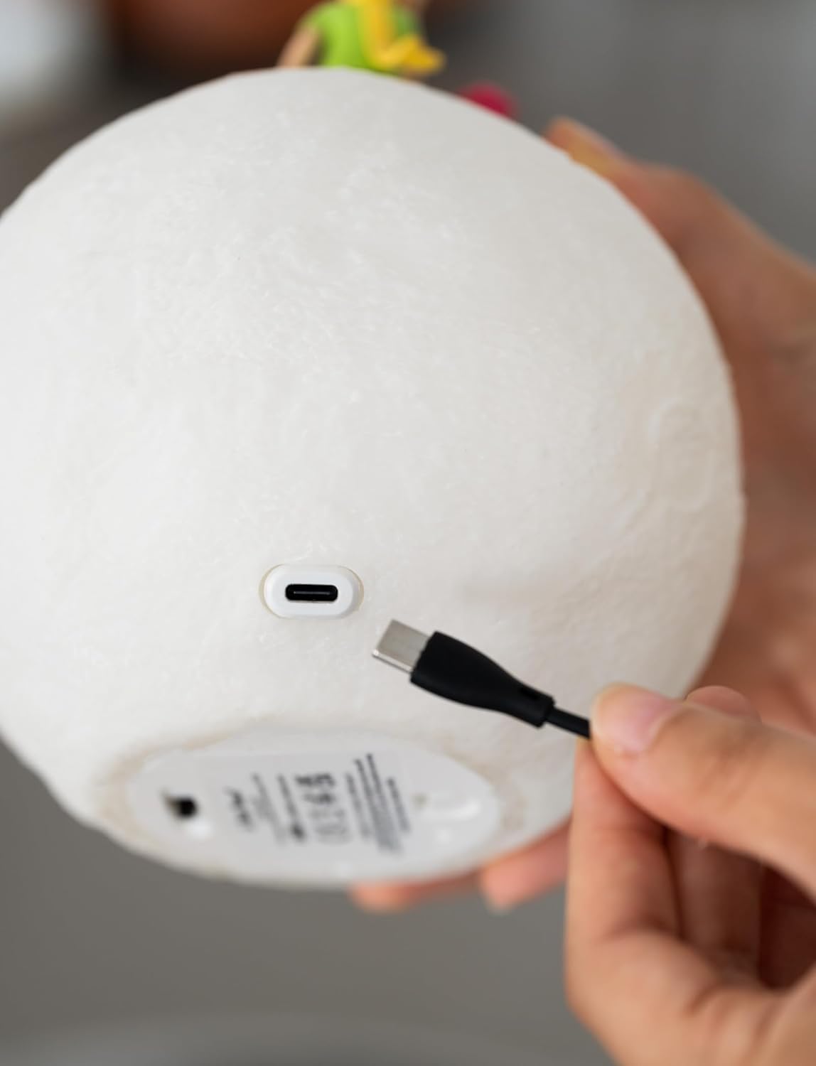 Grupo Erik: Lampada Il Piccolo Principe | Lampada Notturna Led Il Piccolo Principe, con cavo USB o batterie, Luce notturna ricaricabile, Piccolo Principe Gadget