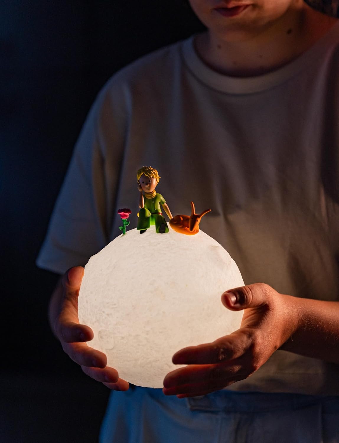 Grupo Erik: Lampada Il Piccolo Principe | Lampada Notturna Led Il Piccolo Principe, con cavo USB o batterie, Luce notturna ricaricabile, Piccolo Principe Gadget