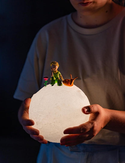 Grupo Erik: Lampada Il Piccolo Principe | Lampada Notturna Led Il Piccolo Principe, con cavo USB o batterie, Luce notturna ricaricabile, Piccolo Principe Gadget