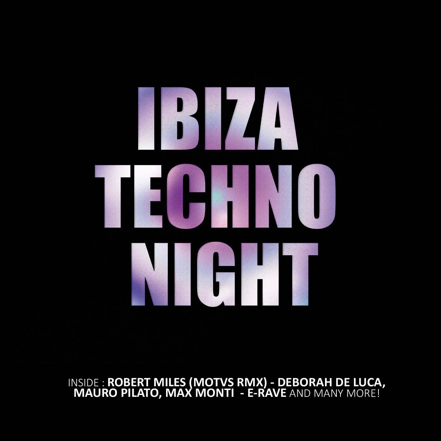 Ibiza Techno Night / Various