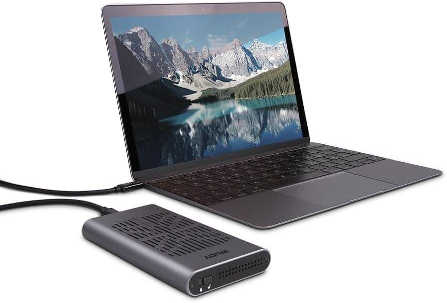 Lindy USB 3.2 Gen 2x2 Dual M.2 NVMe SSD Enclosure with Clone Feature
