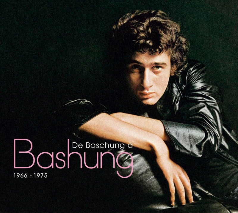 De Baschung a Bashung