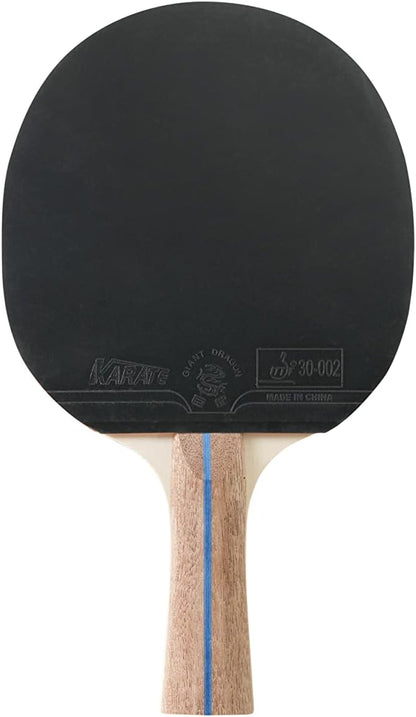 HUDORA Table tennis bat game, table tennis training for beginners and advanced users, ping pong bat for table tennis fun