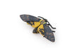 Papo - Hand painted - Animal Figures - Moth - 50299 - Wildlife - Collectible - For Children - Suitable for Boys and Girls - From 3 years old