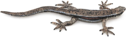 Papo - Hand painted - Animal Figures - Common lizard - 50300 - Wildlife - Collectible - For Children - Suitable for Boys and Girls - From 3 years old