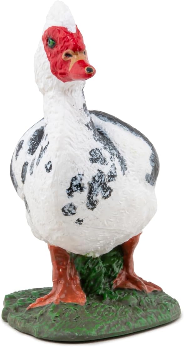 Papo - Hand painted - Animal Figure - Domestic Muscovy Duck - 51189 - Farm - Collectible - For Children - Suitable for Boys and Girls - From 3 years old