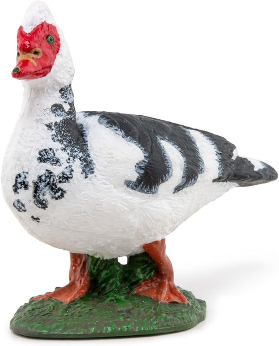 Papo - Hand painted - Animal Figure - Domestic Muscovy Duck - 51189 - Farm - Collectible - For Children - Suitable for Boys and Girls - From 3 years old