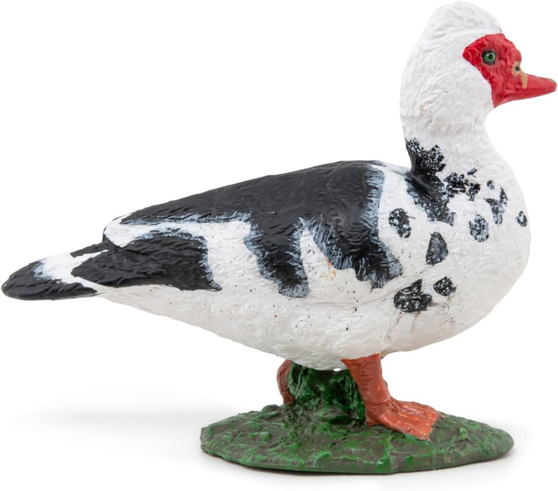 Papo - Hand painted - Animal Figure - Domestic Muscovy Duck - 51189 - Farm - Collectible - For Children - Suitable for Boys and Girls - From 3 years old