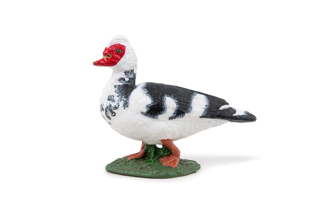 Papo - Hand painted - Animal Figure - Domestic Muscovy Duck - 51189 - Farm - Collectible - For Children - Suitable for Boys and Girls - From 3 years old