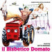 Il Bisbetico Domato