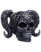Nemesis Now Drop Dead Gorgeous Solve and Coagula Figurine 20.5cm, Resin, Baphomet Doll Skull Ornament, Female Baphomet Black Skull Figurine, Cast in the Finest Resin, Expertly Hand-Painted 20.5cm Blac