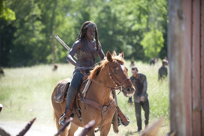 The Walking Dead - L'intégrale de la saison 4
