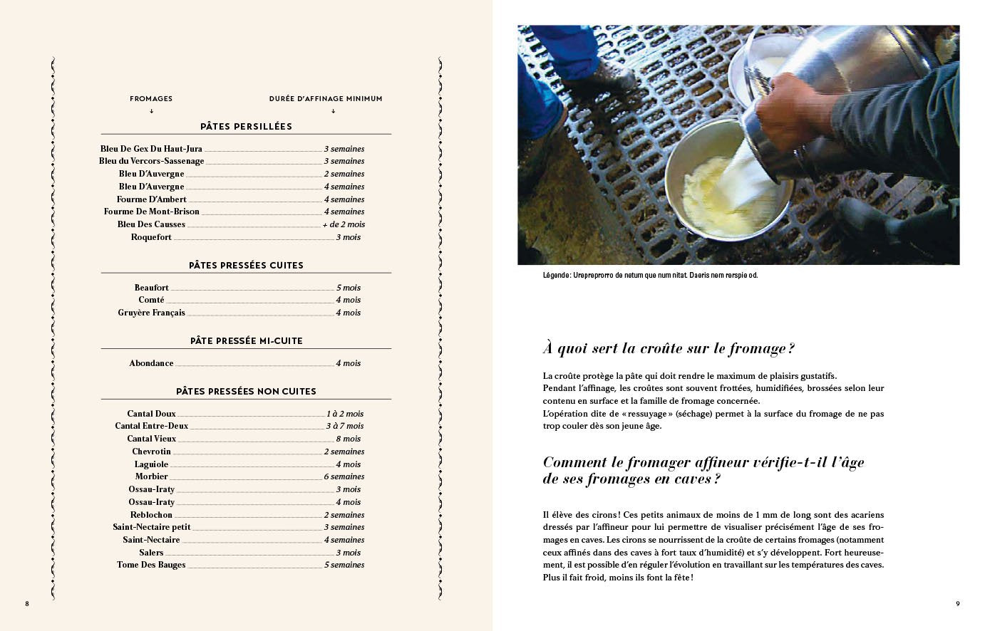 Meilleurs Ouvriers de France - Fromages - Le Gout Des Terroirs