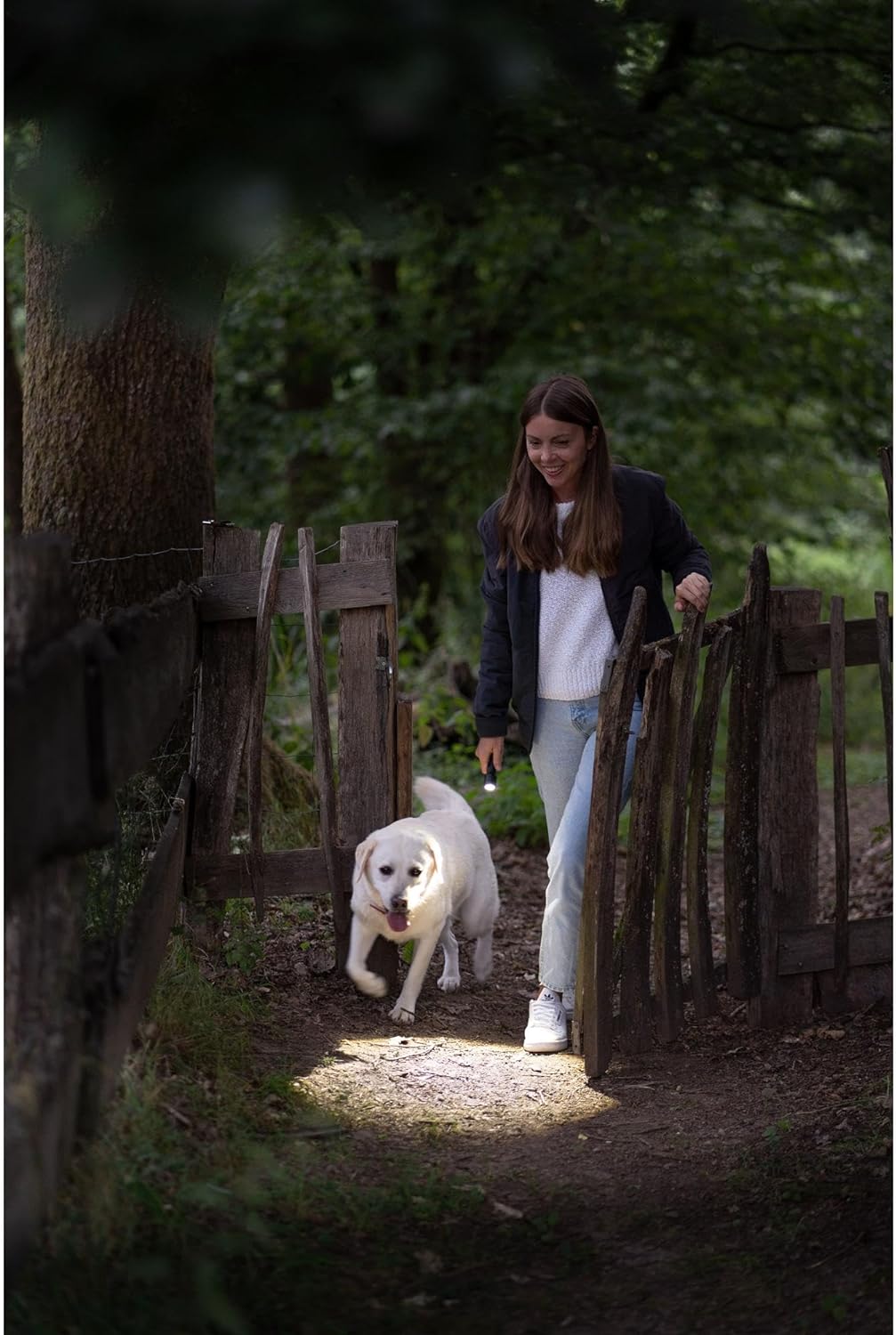 Ledlenser P6R Core - LED Battery Powered Torch, Super Bright 900 Lumens, Water Resistant (IP68) Powerful Searchlight Torch, Dog Walking, Hiking, Camping, Up to 95 Hour Running Time