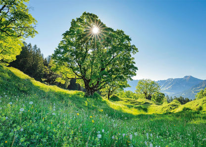 Schmidt Spiele 59761-Aarce de montaña en el Sol, San Galo, Suiza, 1000 Piezas, Multicolor (59761