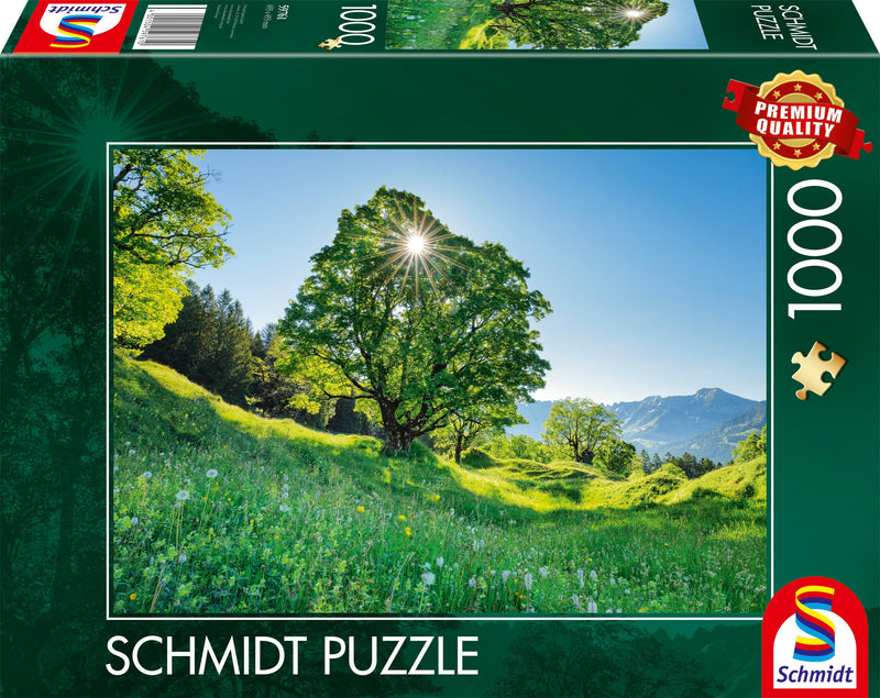 Schmidt Spiele 59761-Aarce de montaña en el Sol, San Galo, Suiza, 1000 Piezas, Multicolor (59761