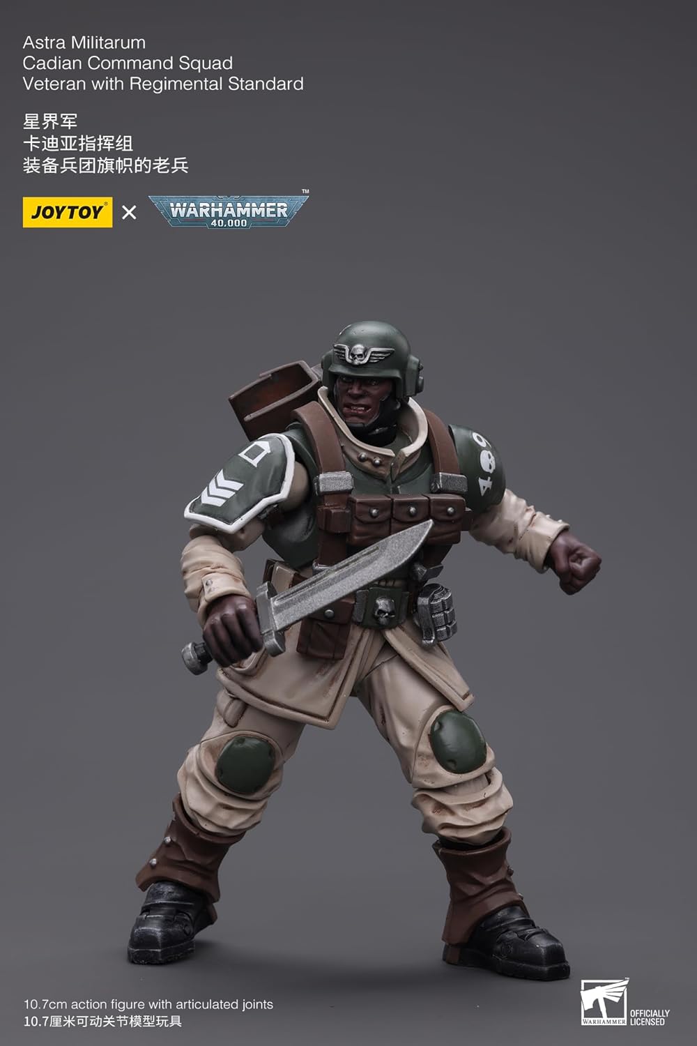 Joy Toy (CN) Warhammer 40K - Astra Militarum Cadian Command Squad Veterano con Regimental Standard