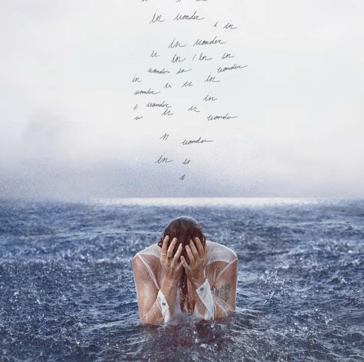 Shawn Mendes-Wonder