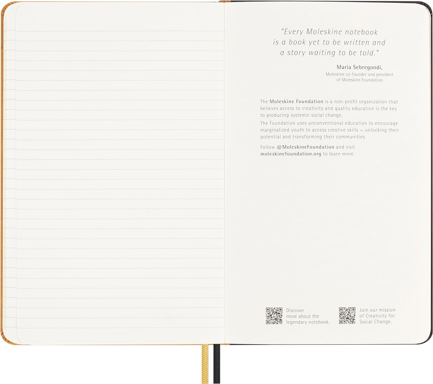 Moleskine Cuaderno Año del Dragón de Ahn Sang Soo, Cuaderno a Rayas Ed. Limitada, Tapa Dura, Formato Large 13x21, Sobres de la Suerte, Plantillas, Biografía del Artista, Historia del Proyecto