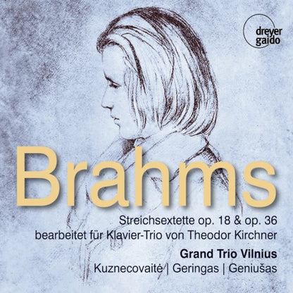 Brahms: Streichsextette Op. 18 & Op. 36: Bearbeitet Für Klavier-Trio Von Theodor Kirchner