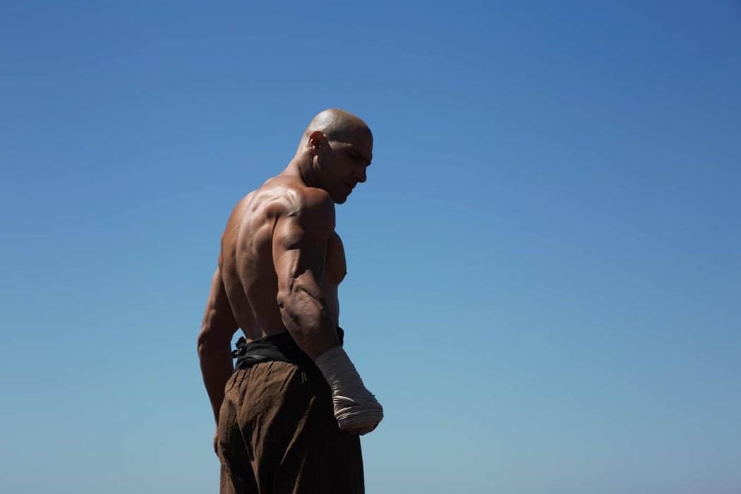 DÍAZ ESPINOZA, ERNESTO - DIE FAUST DES CONDORS