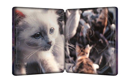 The Marvels Limited Edition 4K Steelbook