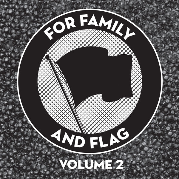 For Family And Flag 2