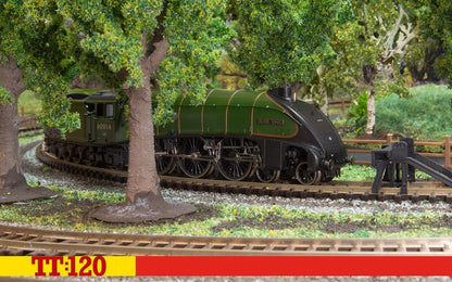 Br Class A4 4-6-2 60016 Silver King - Era 4