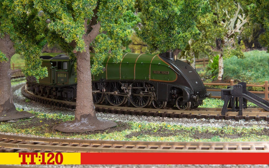 Br Class A4 4-6-2 60016 Silver King - Era 4