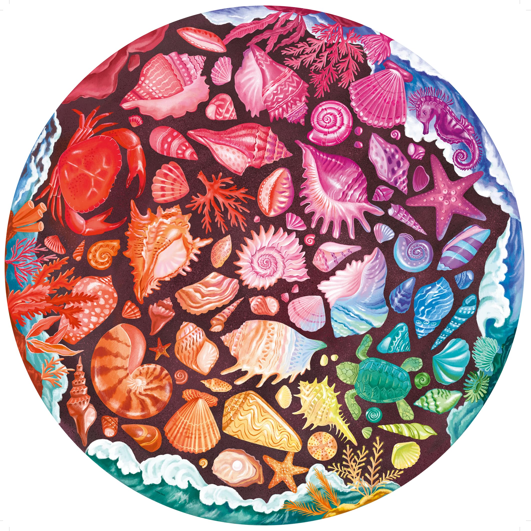 Ravensburger 12000823 - Seashells - 500 pieces jigsaw puzzle – Puzzle for adults and kids age 12 years up, Round puzzle