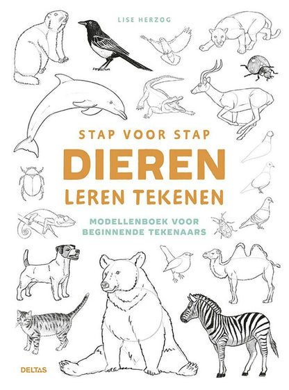 Stap voor stap dieren leren tekenen: modellenboek voor beginnende tekenaars