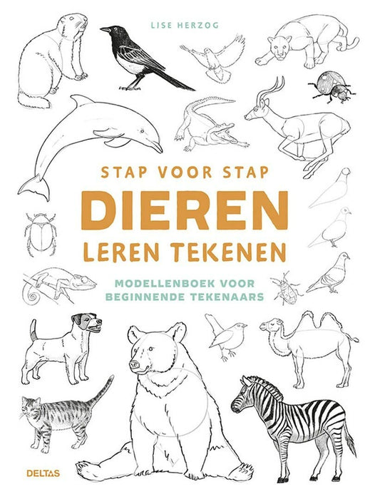 Stap voor stap dieren leren tekenen: modellenboek voor beginnende tekenaars
