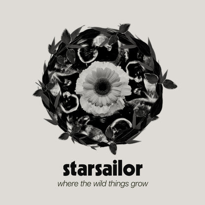 Where the Wild Things Grow