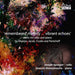'Remembered Melody ... Vibrant Echoes': Works for Cello and Piano