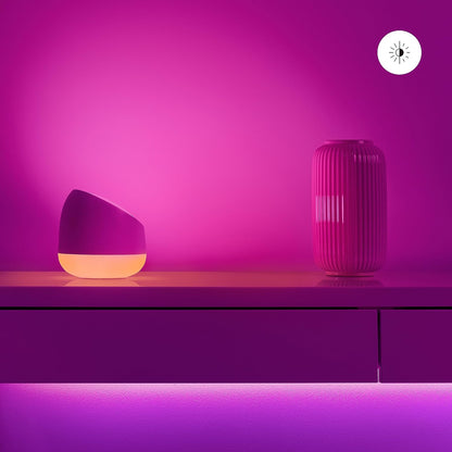 Wiz - Wi-Fi Ble Portable Squire