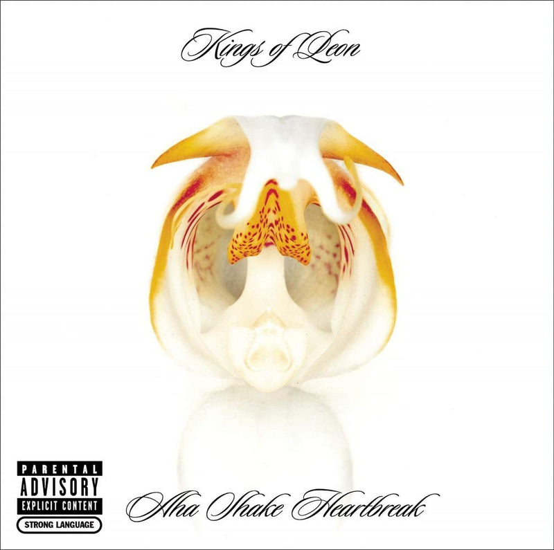 KINGS OF LEON - AHA SHAKE HEARTBREAK (1 CD