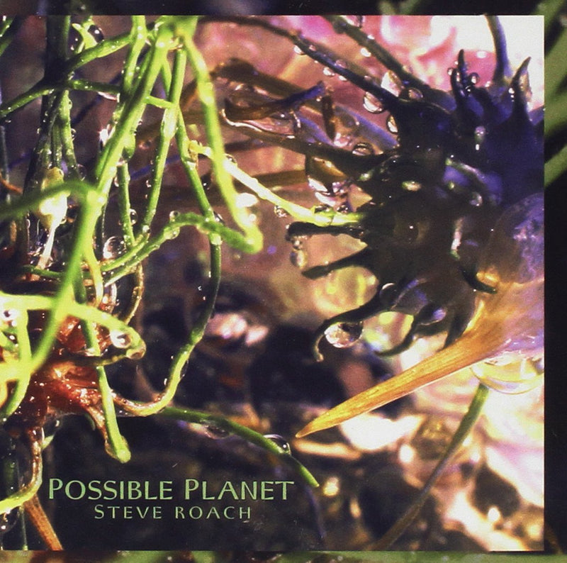 POSSIBLE PLANET