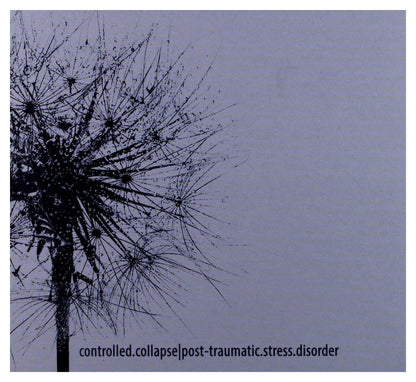 Controlled.Collapse: Post-Traumatic.Stress.Disorder