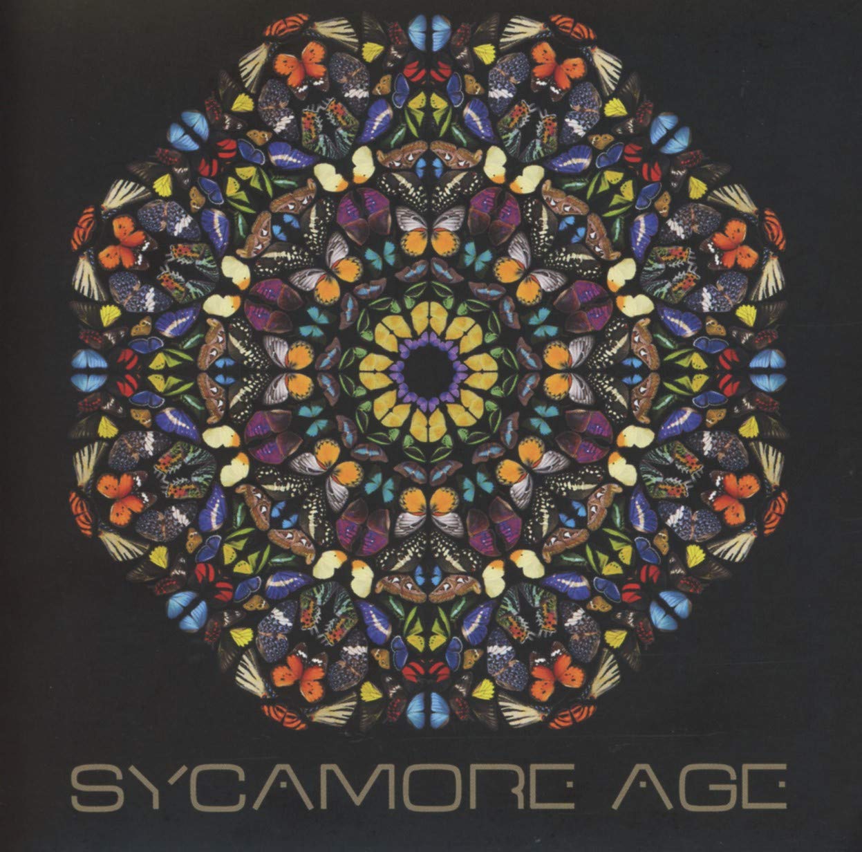 Sycamore Age