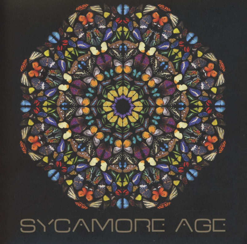 Sycamore Age