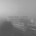 Anemic city