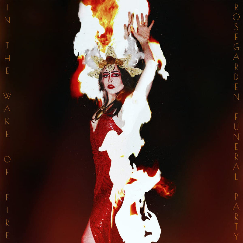 In The Wake Of Fire