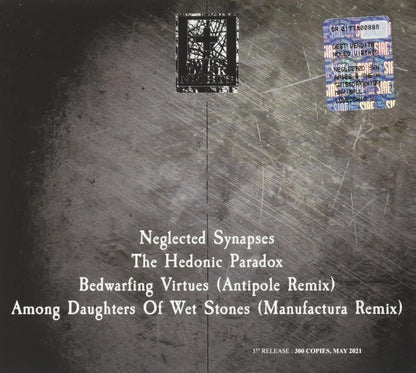 Neglected Synapses